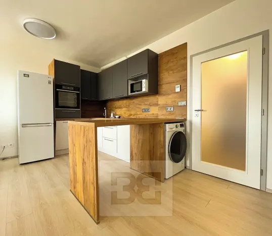 Pronájem bytu 1+kk, Plzeň, Boettingerova, 33 m2