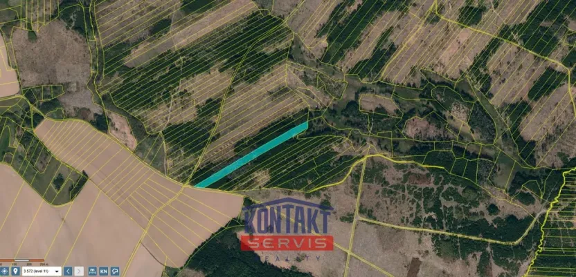 Prodej lesa, Opatov, 11455 m2