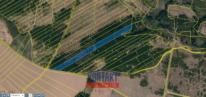 Prodej lesa, Opatov, 11455 m2