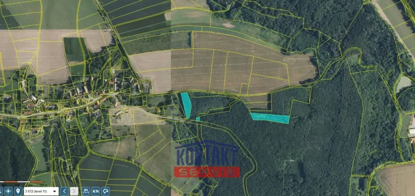 Prodej lesa, Bačalky - Lično, 32004 m2