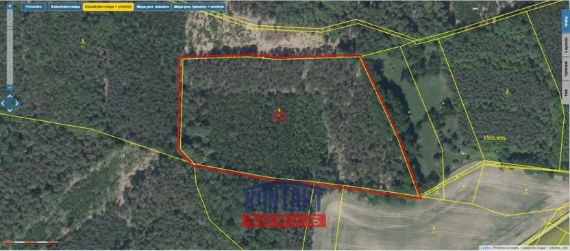 Prodej lesa, Bačalky - Lično, 32004 m2