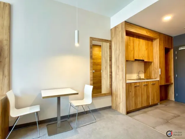 Prodej apartmánu, Dolní Morava, 28 m2