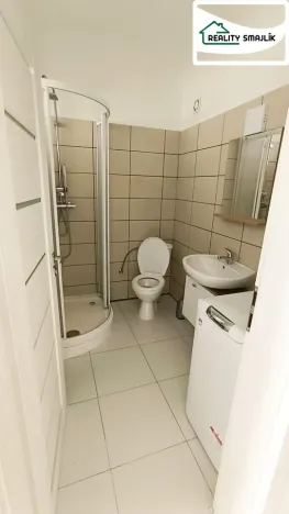 Pronájem bytu 1+1, Františkovy Lázně - Horní Lomany, Americká, 47 m2