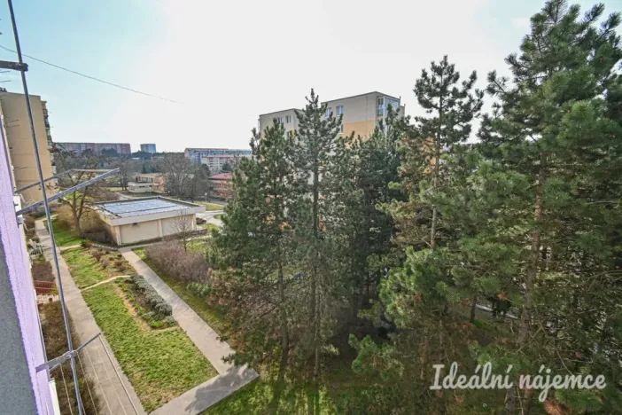 Pronájem bytu 3+1, Brno, Zikova, 74 m2