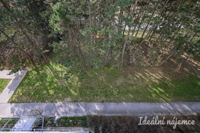 Pronájem bytu 3+1, Brno, Zikova, 74 m2