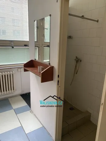 Pronájem obchodního prostoru, Kroměříž, Oskol, 450 m2