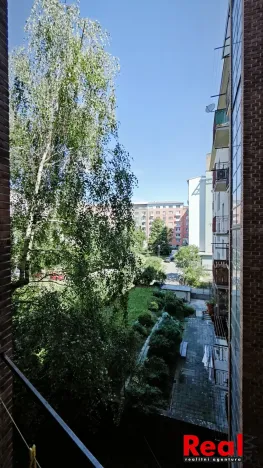 Pronájem bytu 3+1, Brno - Veveří, Grohova, 100 m2