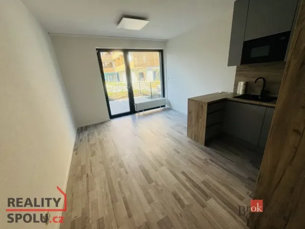 Pronájem bytu 1+kk, Plzeň - Východní Předměstí, Kartónová, 30 m2