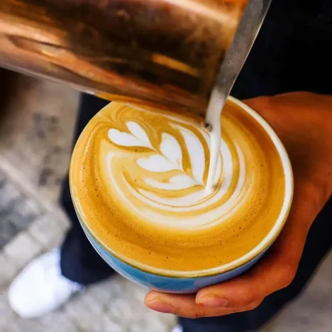 Pronájem restaurace, Praha - Nové Město, Purkyňova, 20 m2