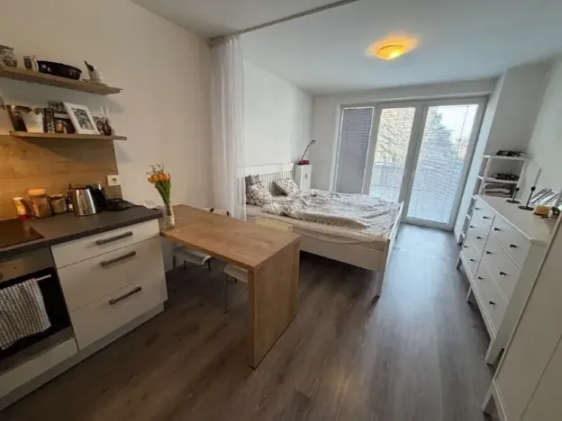 Pronájem bytu 1+kk, Jihlava, Vrchlického, 33 m2