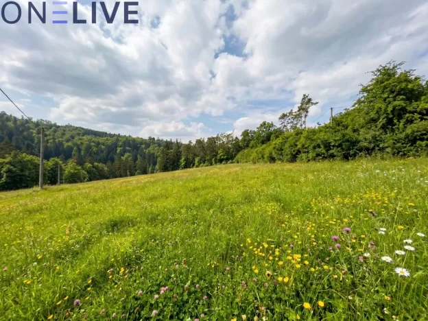 Prodej zahrady, Plasy, 2517 m2