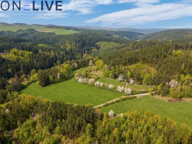 Prodej zahrady, Plasy, 2517 m2