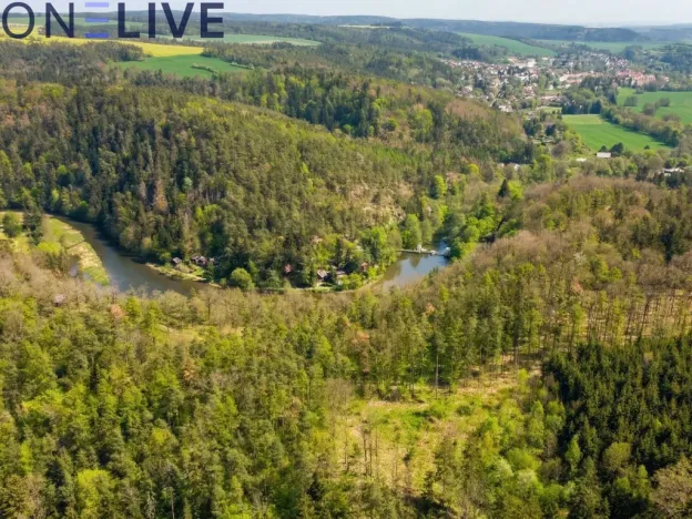 Prodej zahrady, Plasy, 2517 m2