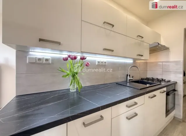 Prodej bytu 2+1, Ústí nad Labem - Střekov, Tolstého, 64 m2