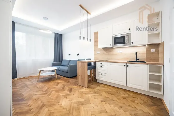 Pronájem bytu 1+kk, Praha - Střešovice, Myslbekova, 30 m2