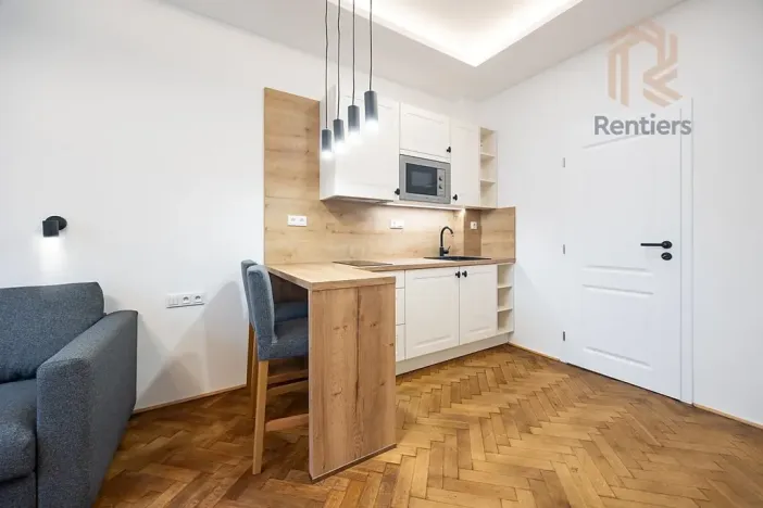 Pronájem bytu 1+kk, Praha - Střešovice, Myslbekova, 30 m2