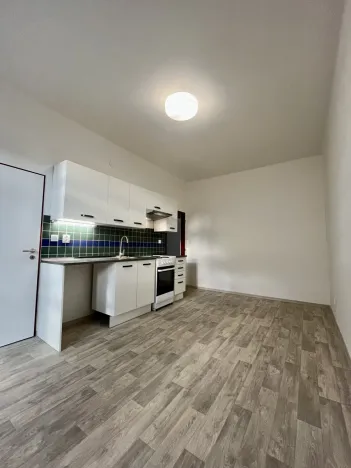 Pronájem bytu 1+1, Ostrava - Přívoz, Hájkova, 50 m2