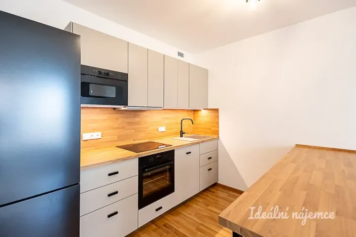 Pronájem bytu 2+kk, Praha - Vysočany, Fafkových, 54 m2