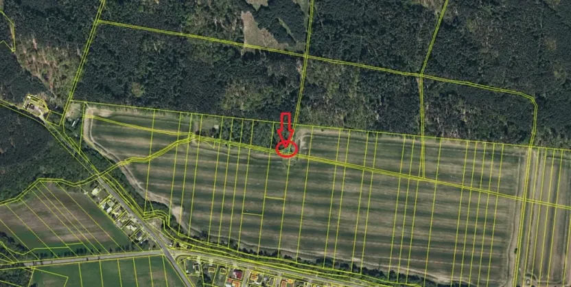 Prodej podílu lesa, Břehy, 1092 m2