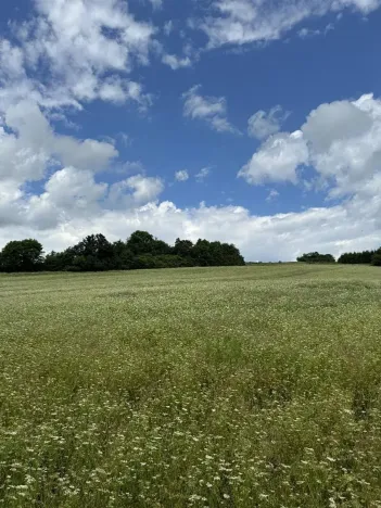 Prodej podílu pozemku, Suchdol, 3247 m2