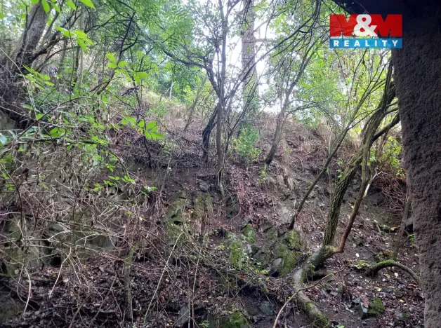 Prodej rodinného domu, Horosedly, 52 m2