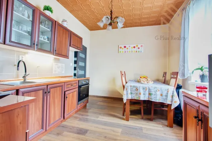 Prodej rodinného domu, Ústí nad Labem - Ústí nad Labem-centrum, Hostovická, 195 m2