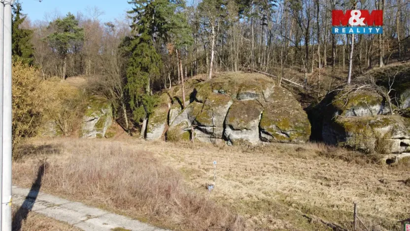 Prodej louky, Vysoká, 1003 m2