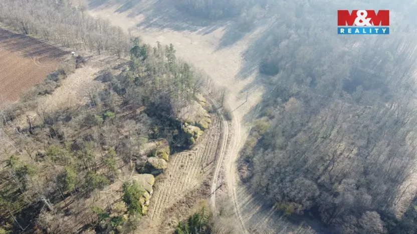 Prodej louky, Vysoká, 1003 m2