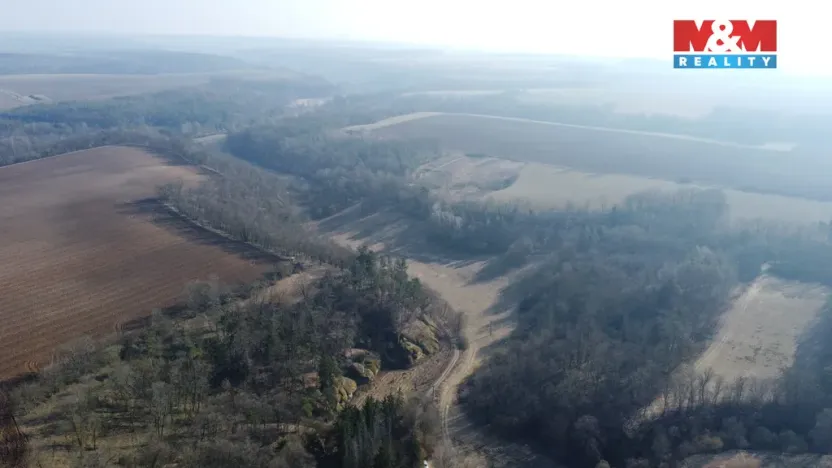 Prodej louky, Vysoká, 1003 m2