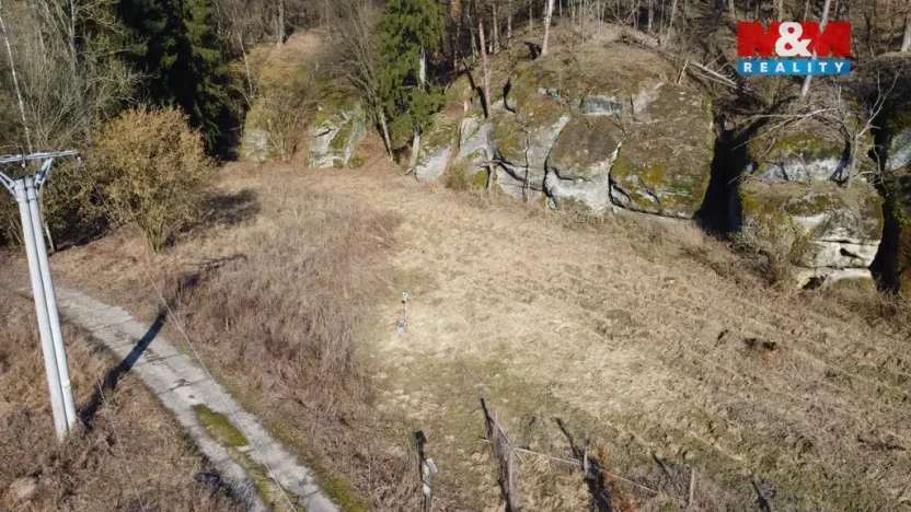 Prodej louky, Vysoká, 1003 m2