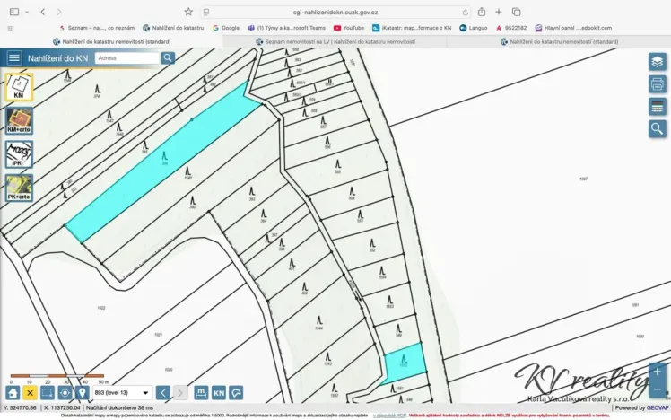 Prodej lesa, Šišma, 2141 m2