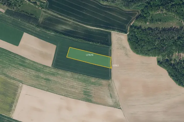 Prodej pole, Bohuslavice, 16513 m2