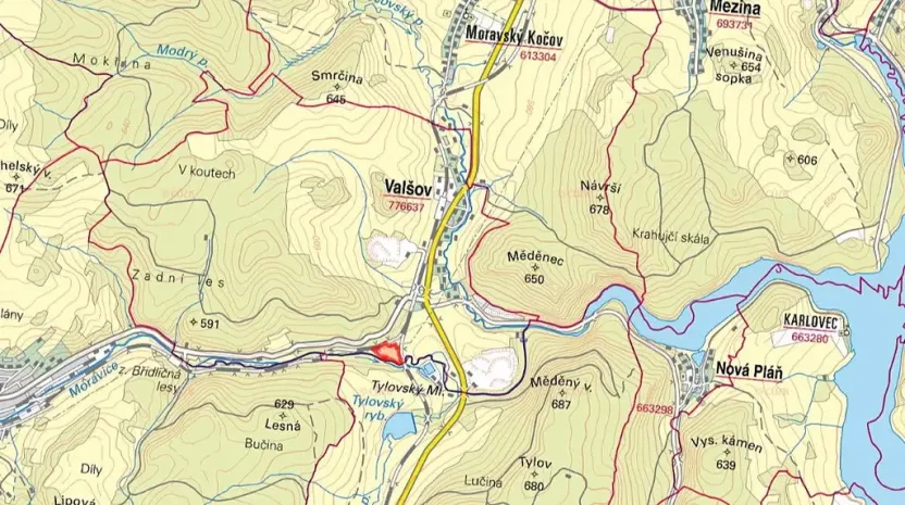 Prodej louky, Valšov, 33558 m2