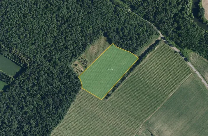 Prodej sadu/vinice, Bulhary, 63228 m2