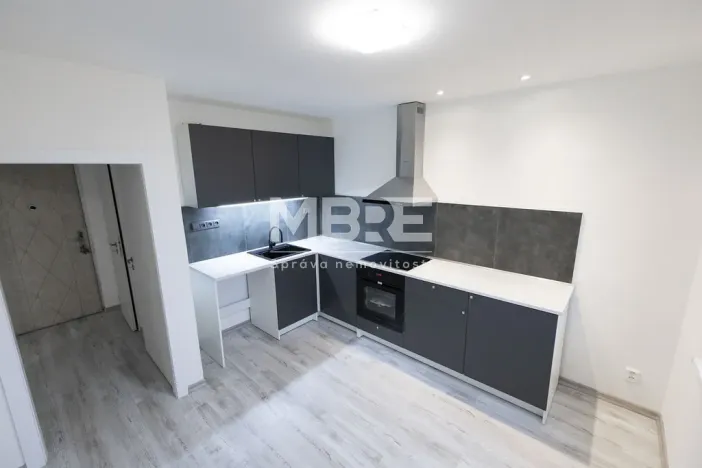 Pronájem bytu 1+1, Orlová - Lutyně, Lesní, 37 m2