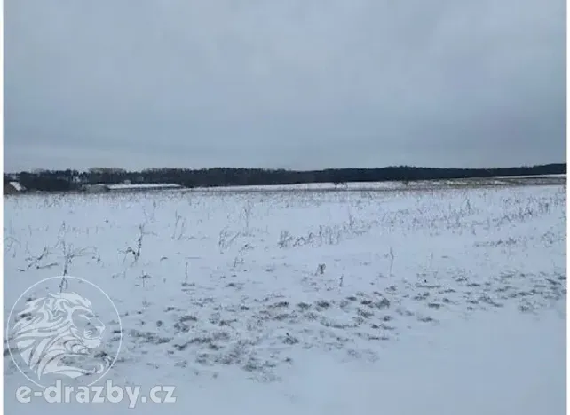 Dražba pole, Toušice, 7911 m2