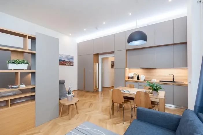 Prodej bytu 1+kk, Praha - Staré Město, Dlouhá, 51 m2