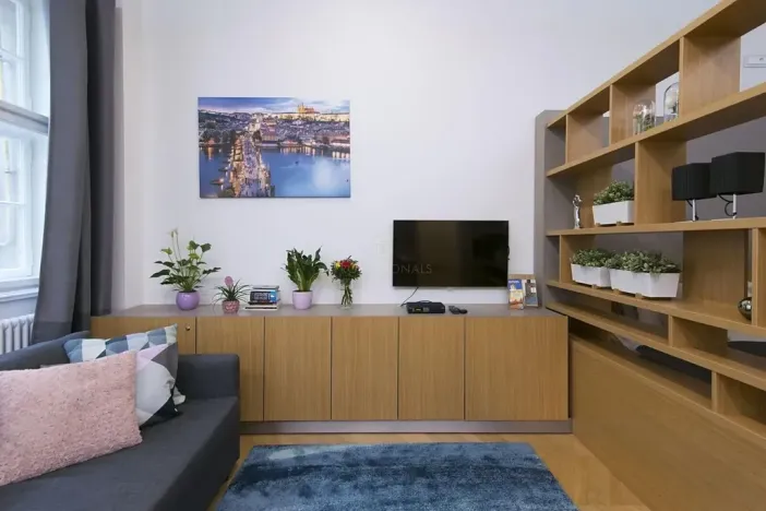Prodej bytu 1+kk, Praha - Staré Město, Dlouhá, 51 m2