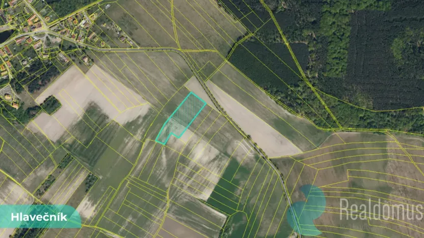 Prodej podílu 1/8 pole, Hlavečník, 3089 m2
