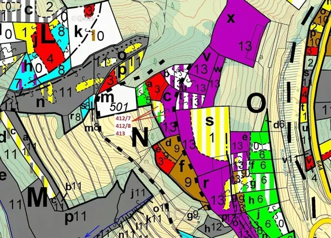 Dražba lesa, Vranová Lhota, 3744 m2