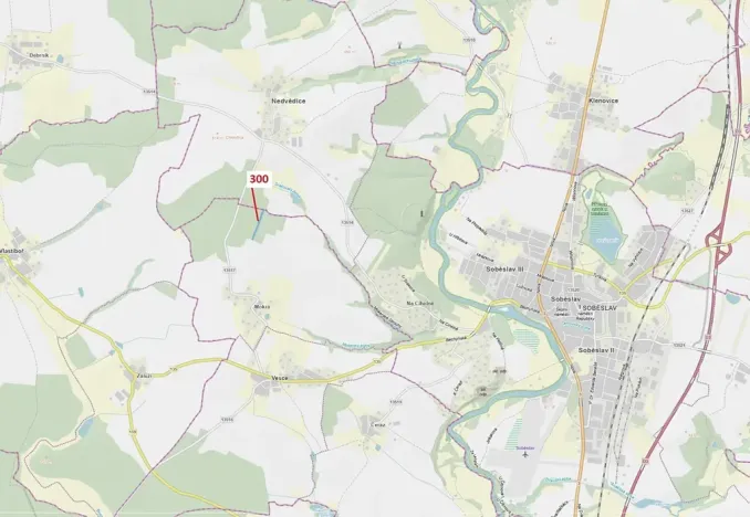 Dražba lesa, Vesce, 5196 m2