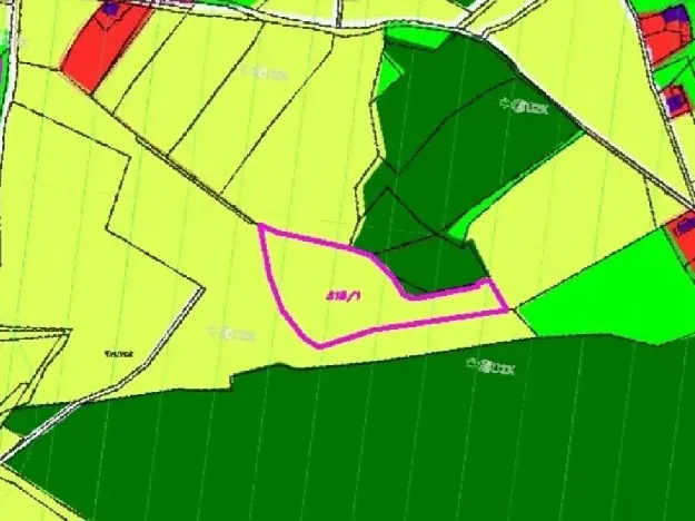 Dražba louky, Cvikov, 7470 m2