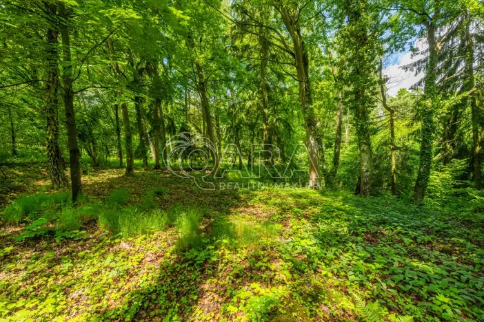 Prodej pozemku pro bydlení, Hrubá Skála, 5519 m2