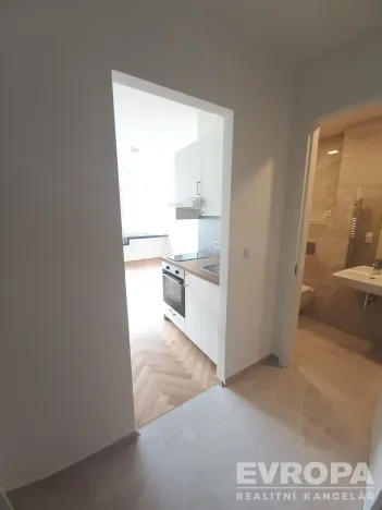 Pronájem bytu 1+kk, Praha - Holešovice, Pplk. Sochora, 26 m2