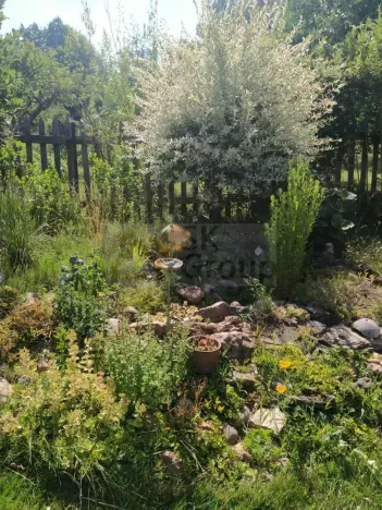 Prodej zahrady, Žlutice, Smetanova, 569 m2