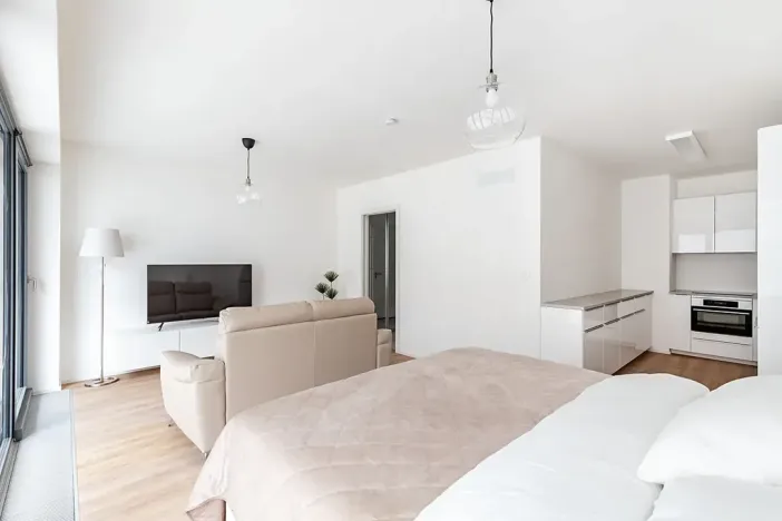 Pronájem bytu 1+kk, Brno, Lidická, 41 m2