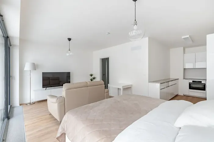 Pronájem bytu 1+kk, Brno, Lidická, 41 m2