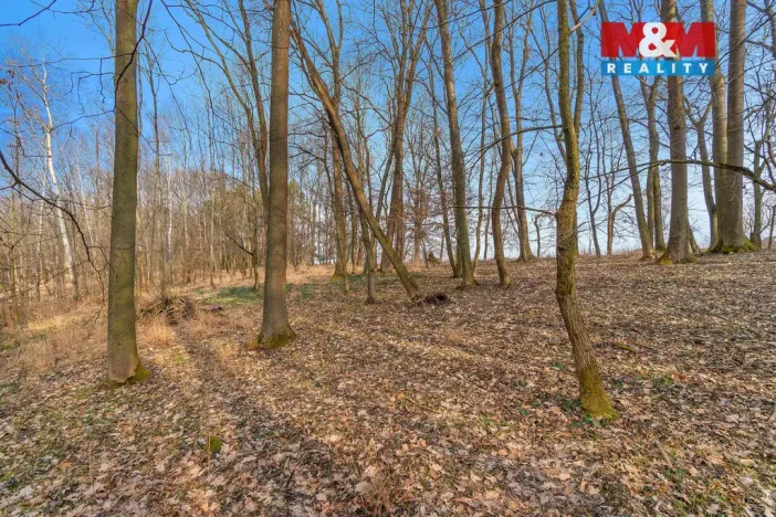 Prodej lesa, Slatiny, 6169 m2
