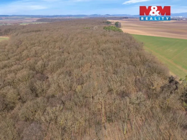 Prodej lesa, Slatiny, 6169 m2