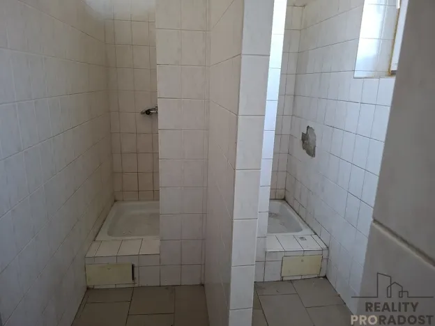 Pronájem výrobních prostor, Slaný, Netovická, 230 m2